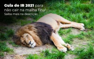 Guia Ir 2021 Para Nao Cair Na Malha Fina Saiba Mais Na Descricao Post 1 Organização Contábil Lawini - Contabilidade em Betim | Alfacont Contabilidade